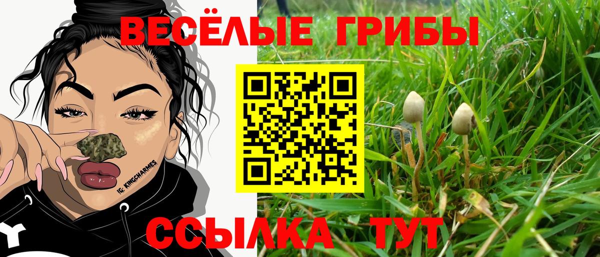 Псилоцибиновые грибы GOLDEN TEACHER  Вход с VPN  Галлюциногенные грибы Cubensis  Орехово-Зуево 