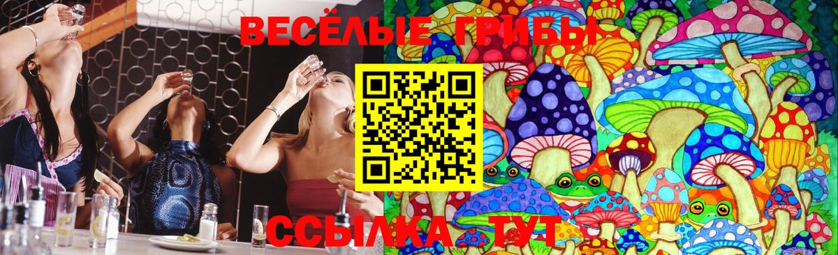 Псилоцибиновые грибы мицелий Орехово-Зуево