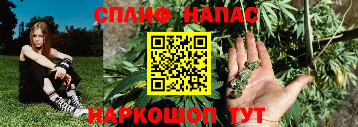 Конопля Bruce Banner Орехово-Зуево